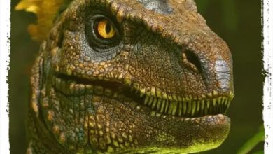 Ark: Survival Ascended - مراجعة شاملة واستراتيجيات احترافية