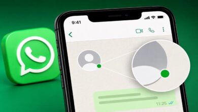 ميزة النقطة الخضراء الجديدة في واتساب على iPhone لإظهار جهات الاتصال المتصلة.