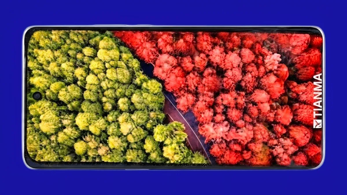 شاشة OPPO Find X10 بألوان واسعة وتغطية 95% من نطاق BT.2020